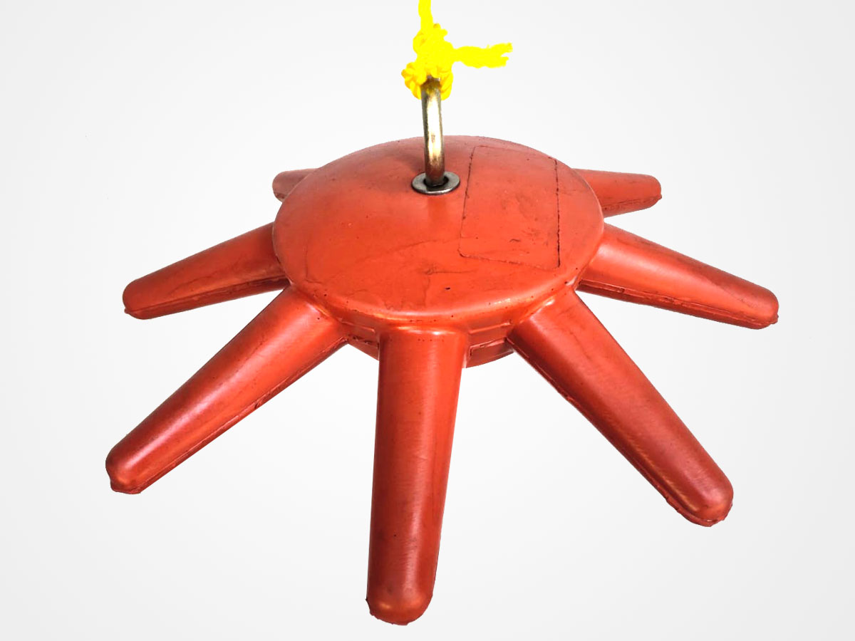 Pig Chewing Toys manufacturer & supplier