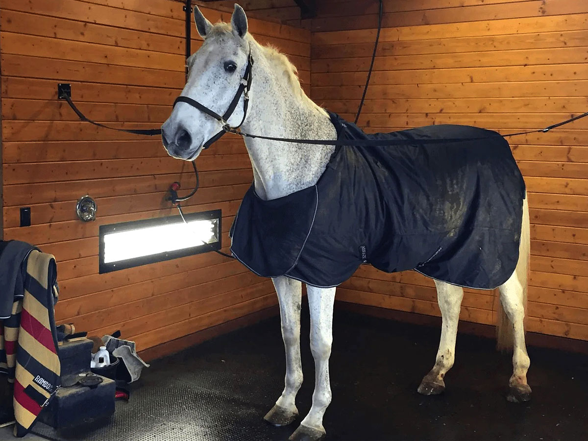 Stable Flooring Mats